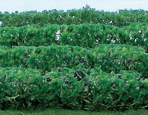 Flowering Hedges - 8 Pieces - Each 4-1/2 x 3/8 x 5/8′ 12 x 1 x 1.6cm -- Green, HO, JTT Miniature Tree 95515