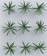 Ferns -- 1′ 2.5cm Wide pkg(9), O, JTT Miniature Tree 95534