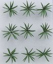 Ferns -- 1′ 2.5cm Wide pkg(9), O, JTT Miniature Tree 95534
