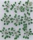 Lily Pads -- 1-1/2′ 3.8cm Wide pkg(9), O, JTT Miniature Tree 95538