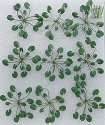 Lily Pads -- 1-1/2′ 3.8cm Wide pkg(9), O, JTT Miniature Tree 95538