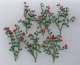Rose Bushes -- 1-3/8′ 3.5cm pkg(6), HO, JTT Miniature Tree 95539