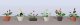 Assorted Potted Flower Plants -- Set 3 pkg(6), HO, JTT Miniature Tree 95569