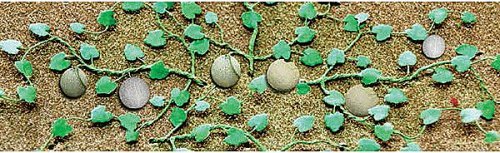 Cantaloupe Patch -- pkg(4), O, JTT Miniature Tree 95574
