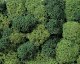 Lichen Single Pack - 1oz 28.3g -- Assorted Green, All Scales, Noch Gmbh & Co 8610