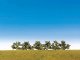 Blooming Bushes 1-1/2′, All Scales, Faller Gmbh 181478