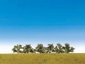 Blooming Bushes 1-1/2′, All Scales, Faller Gmbh 181478