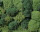 Lichen Double-Pack - 2-3/4oz 78g -- Light & Dark Green, All Scales, Noch Gmbh & Co 8621