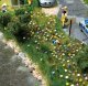 Summer Flowers - Kit -- pkg(120), HO, Busch Gmbh & Co Kg 1229