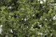 Shrubs & Saplings -- Light Green 60 Cubic Inches, HO, Woodland Scenics 1128