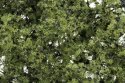 Shrubs & Saplings -- Light Green 60 Cubic Inches, HO, Woodland Scenics 1128