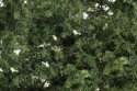 Shrubs & Saplings -- Medium Grn 60 Cubic Inches, HO, Woodland Scenics 1129