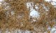 Dry Vines (Dead Foliage) -- .35oz 10g, HO, JTT Miniature Tree 95063