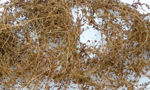 Dry Vines (Dead Foliage) -- .35oz 10g, HO, JTT Miniature Tree 95063