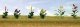 Assorted Flower Plants -- Set 4 pkg(10), O, JTT Miniature Tree 95564