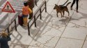 Large Concrete Slabs/Sidewalks - Laser-Cut Kit -- 1/2 x 1/2′ 1.3 x 1.3cm pkg(45), N, NOCH 14629