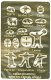 Roadkill -- Flattened Fauna, N, Gold Medal Models 16060