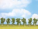 Birch Trees, NOCH 25096