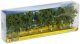 Birch Trees, NOCH 25096