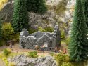 Chapel Ruin, NOCH 58611