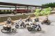 New Chopper ridden by a Biker, NOCH 10903
