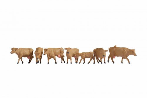 Cows, brown, NOCH 15727