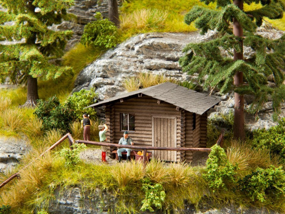 Forest Lodge, NOCH 14434