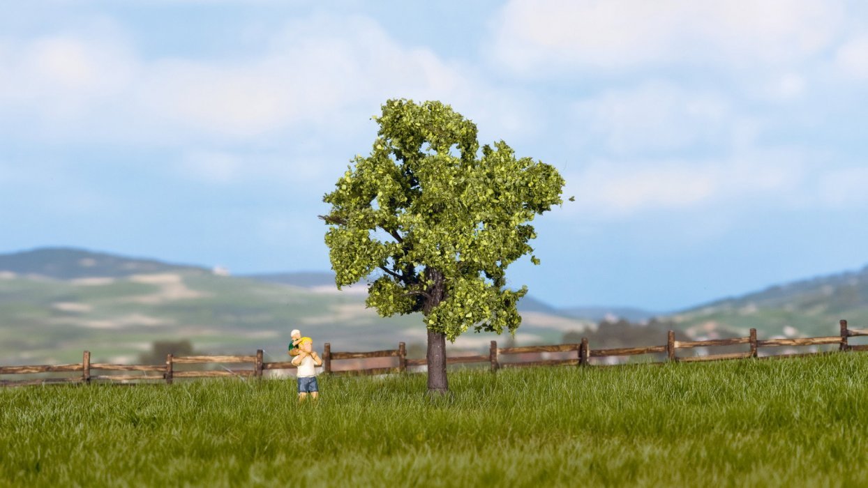 Fruit Tree, NOCH 21550