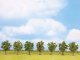 Fruit Trees, NOCH 25090