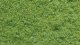 Structured Flock, NOCH 07331