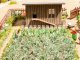 Vegetable Garden Set, NOCH 14107