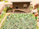 Vegetable Garden Set, NOCH 14107
