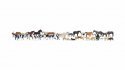 Mega Economy Set "Animals", NOCH 16049