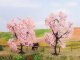 Blooming Almond Trees -- 1 Each: 3-1/8 & 3-1/2′ 8 & 9cm Tall pkg(2), All Scales, NOCH 21996
