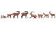 Alpine Animals, NOCH 15742