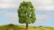 Ash Tree - Master -- 7-7/8′ 20cm Tall, All Scales, NOCH 20100