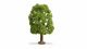 Ash Tree - Master -- 7-7/8′ 20cm Tall, All Scales, NOCH 20100
