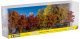 Autumn Trees, NOCH 25070
