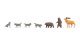 New Bears and Wolves, NOCH 15746
