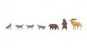 New Bears and Wolves, NOCH 15746