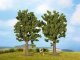 Multi-Tree Packs -- Beech 5-1/8′ 13cm pkg(2), HO, NOCH 25170