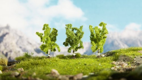 Birch Trees, NOCH 25520
