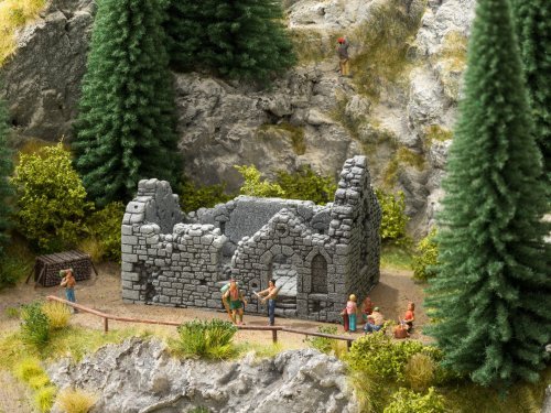 Chapel Ruin, NOCH 58611