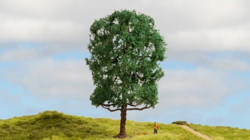 Chestnut Tree - Master -- 7-1/2′ 19cm Tall, All Scales, NOCH 20105
