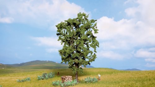 Chestnut Tree, NOCH 21800