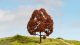 Copper Beech Tree - Master -- 5-7/8′ 15cm Tall, All Scales, NOCH 20150