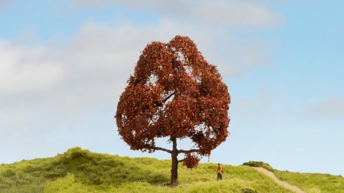 Copper Beech Tree - Master -- 5-7/8′ 15cm Tall, All Scales, NOCH 20150