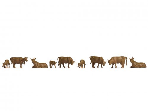 Cows -- pkg(9), N, NOCH 38216
