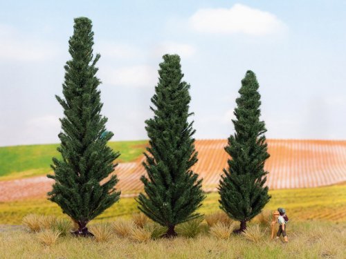 Cypresses, NOCH 21998