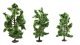 Deciduous Trees -- 3-15/16 to 5-1/2′ 10 to 14cm Tall pkg(8), All Scales, NOCH 24600